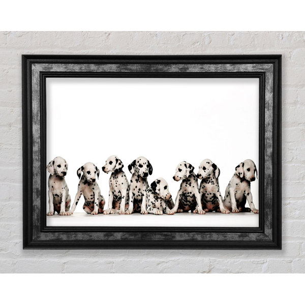 Bright Star Dalmatian Puppy Fun - Single Picture Frame Art Prints ...